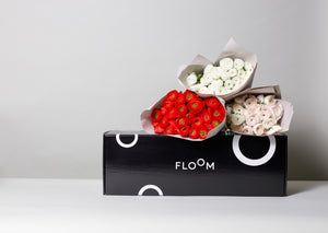 Floom Nationwide Horizontal Box (Pack of 50)