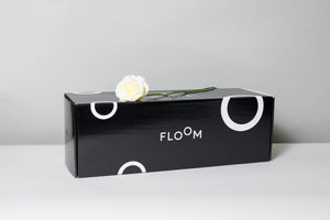 Floom Nationwide Horizontal Box (Pack of 50)